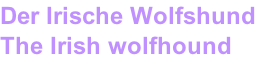 Der Irische Wolfshund The Irish wolfhound