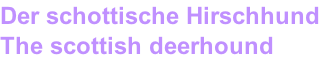 Der schottische Hirschhund The scottish deerhound